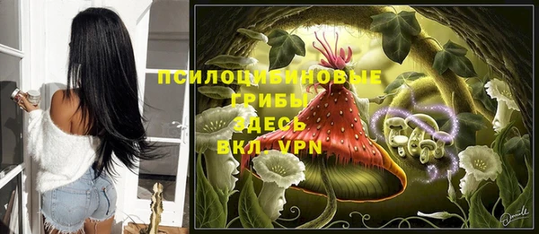 твердый Балабаново